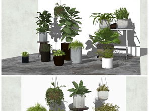 精品绿色植物绿色盆景室内绿色盆栽组合SU模型设计素材 植物景观模型大全 18625609